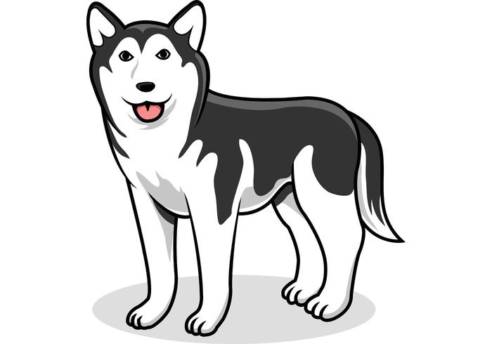siberian-husky-vector-dog
